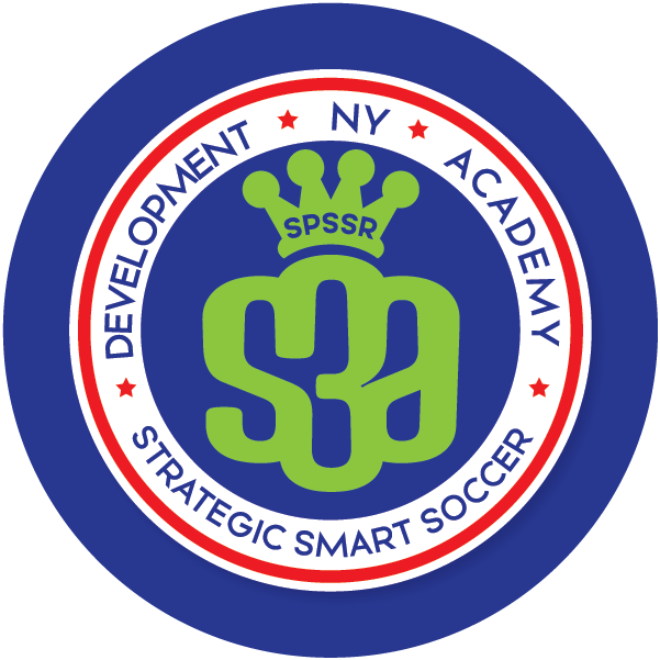 Strategic Smart Soccer Academy logo (blue)